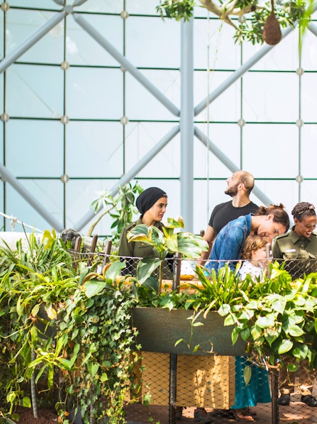 Visitors exploring lush greenery at Green Planet Dubai.
