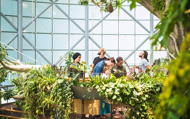 Visitors exploring lush greenery at Green Planet Dubai.