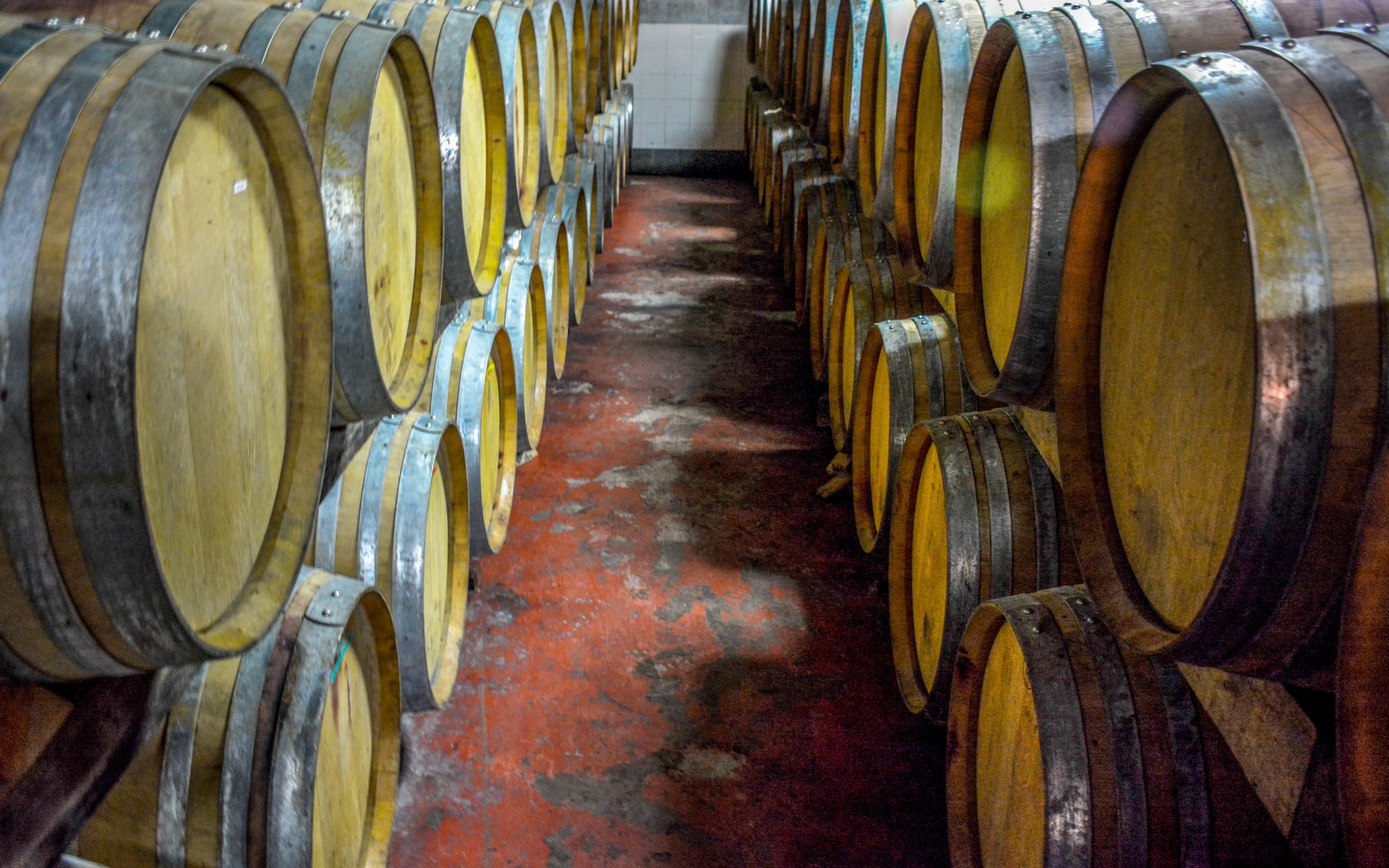 Wine barrels stacked in Olympia Land Winery, Olympia, Greece.