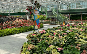 Eufloria Gardens & Sculpture Park indoor floral display with colorful hydrangeas and a "Garden of the Seasons" sign.