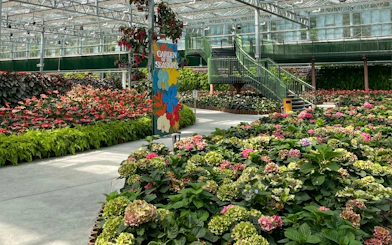 Eufloria Gardens & Sculpture Park indoor floral display with colorful hydrangeas and a "Garden of the Seasons" sign.