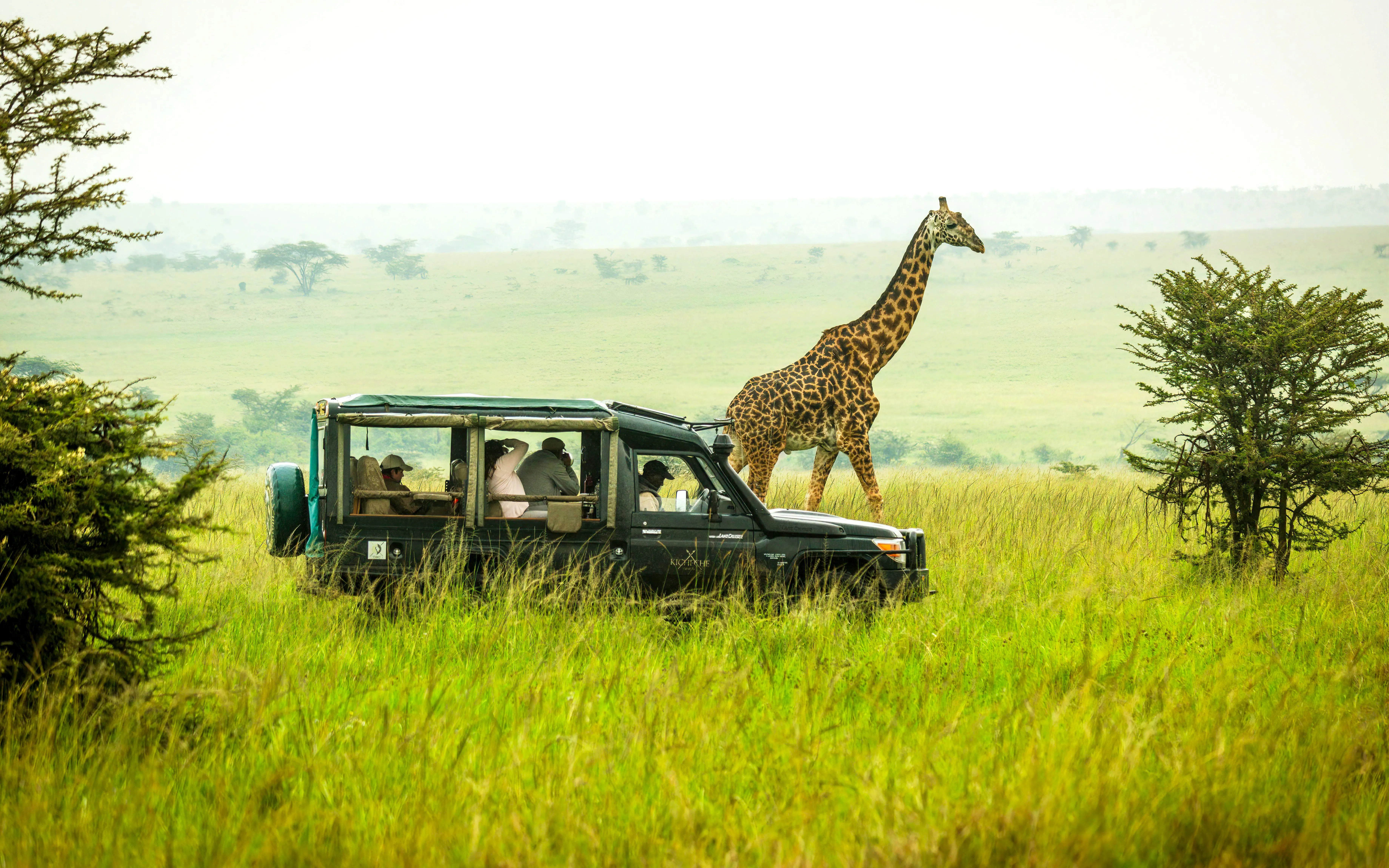 From Nairobi: Fly-In 3-Day Masai Mara Private Safari with Luxury Stays and Entry Fees
