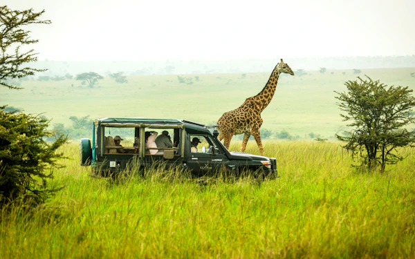 From Nairobi: Fly-In 3-Day Masai Mara Private Safari with Luxury Stays and Entry Fees