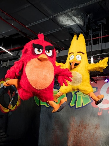 Red and yellow Angry Birds mascots jumping indoors.