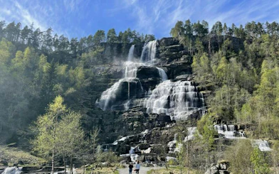 Waterfall stop on Bergen to Flåm Railway and Nærøyfjord UNESCO Cruise tour, surrounded by lush forest.