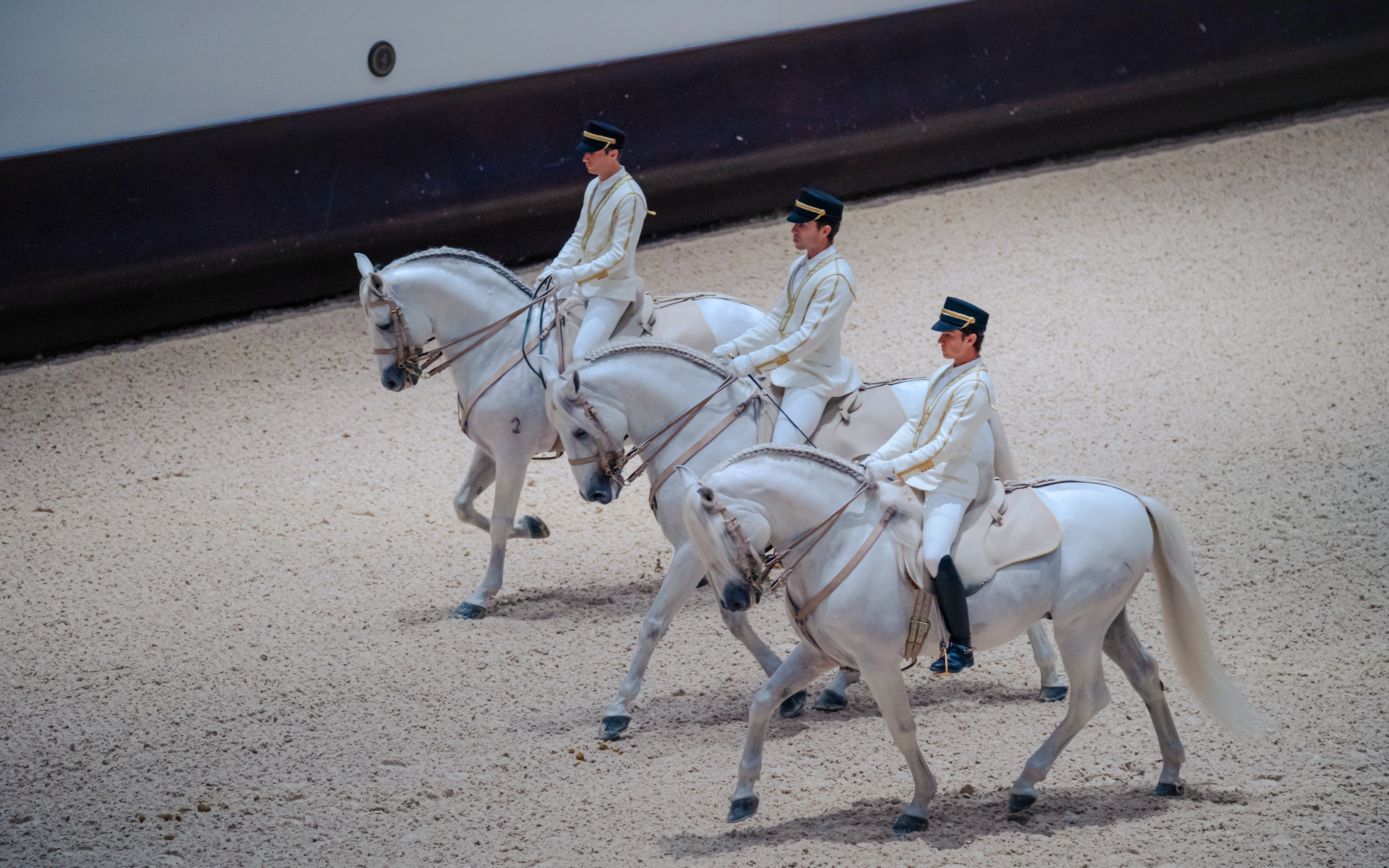 Equestrians performing at Abu Dhabi Royal Equestrian Arts show.