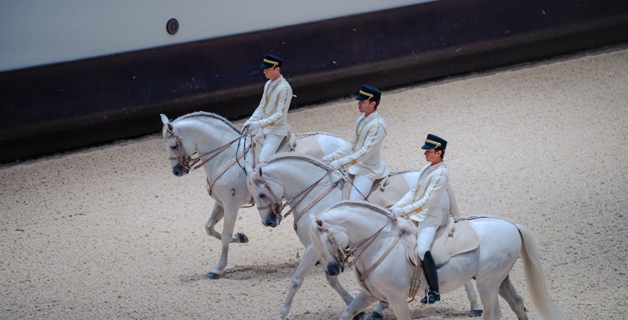 Equestrians performing at Abu Dhabi Royal Equestrian Arts show.