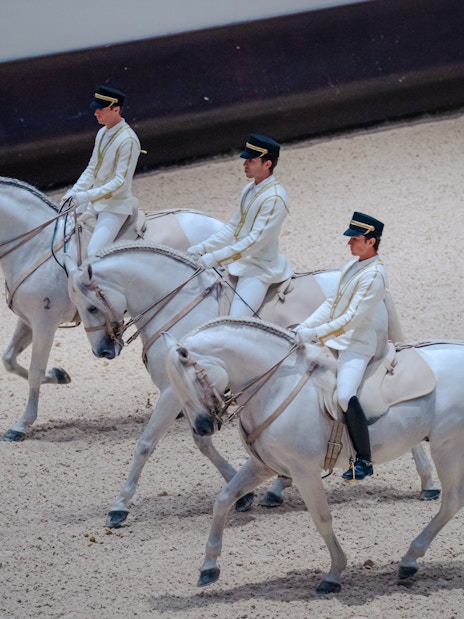Equestrians performing at Abu Dhabi Royal Equestrian Arts show.