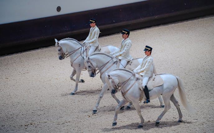 Equestrians performing at Abu Dhabi Royal Equestrian Arts show.