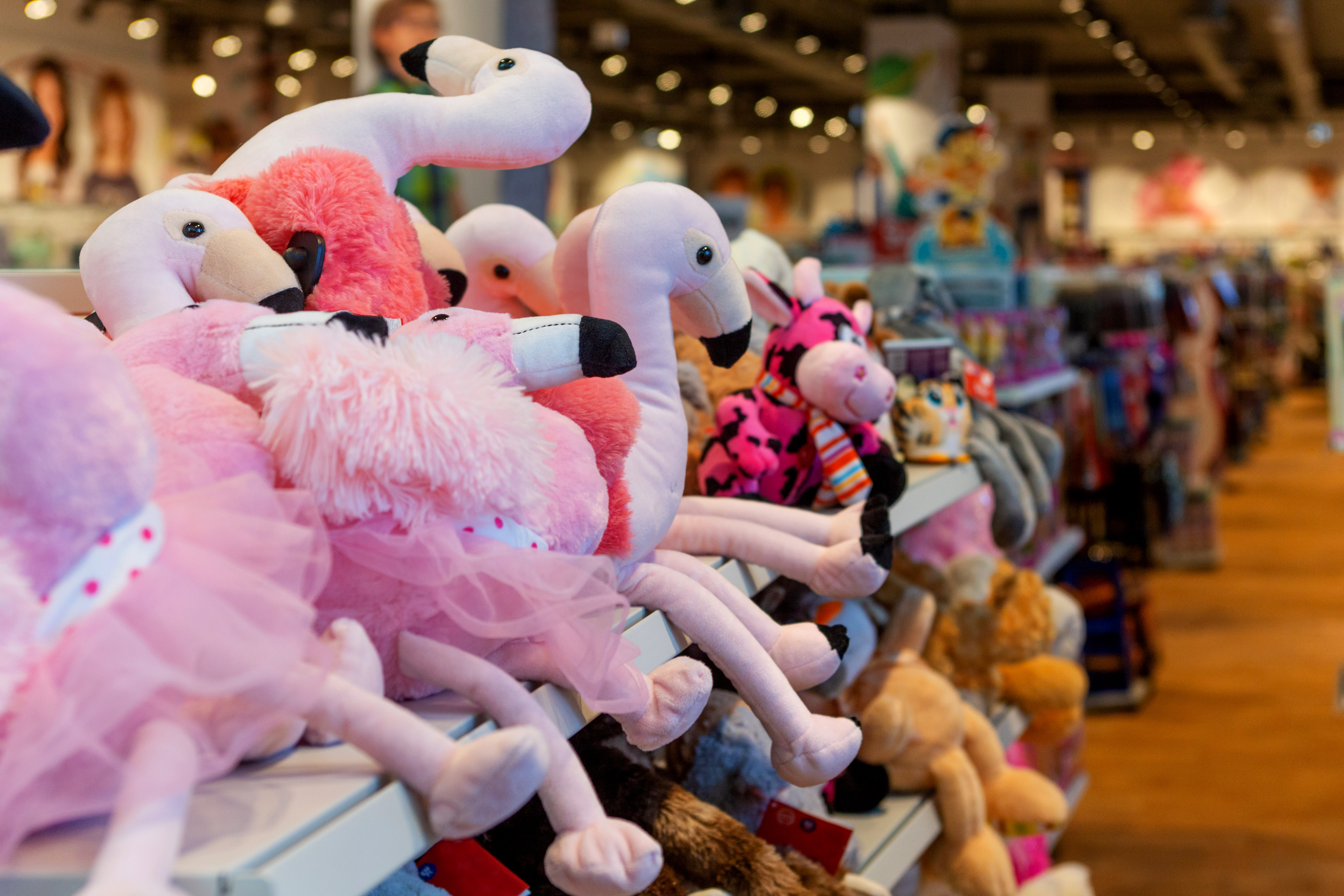 plan your visit gatorland