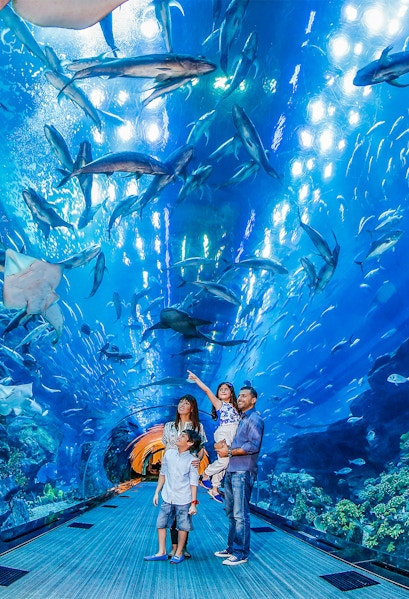 Family exploring underwater tunnel at Dubai Aquarium with sharks swimming overhead.