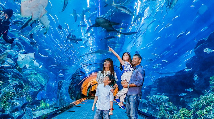 Family exploring underwater tunnel at Dubai Aquarium with sharks swimming overhead.