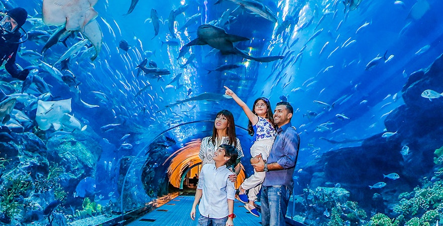 Acquario di Dubai,