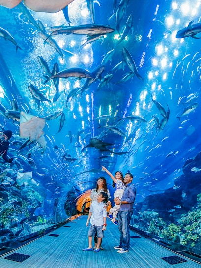 Family exploring underwater tunnel at Dubai Aquarium with sharks swimming overhead.