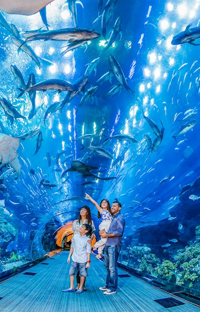 Family exploring underwater tunnel at Dubai Aquarium with sharks swimming overhead.