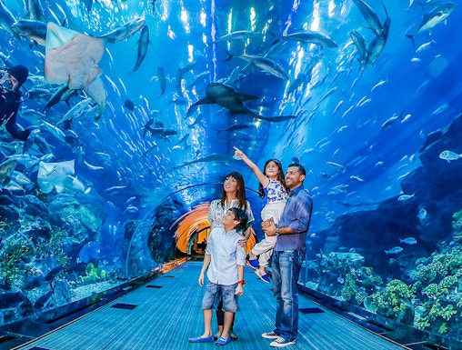 Family exploring underwater tunnel at Dubai Aquarium with sharks swimming overhead.