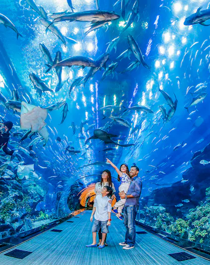 Family exploring underwater tunnel at Dubai Aquarium with sharks swimming overhead.