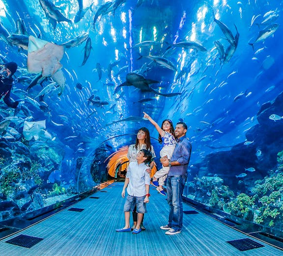 Family exploring underwater tunnel at Dubai Aquarium with sharks swimming overhead.