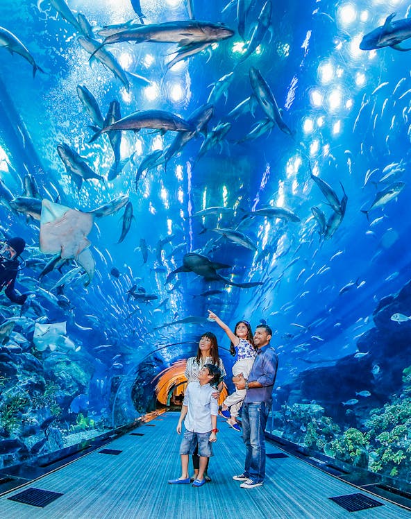 Family exploring underwater tunnel at Dubai Aquarium with sharks swimming overhead.