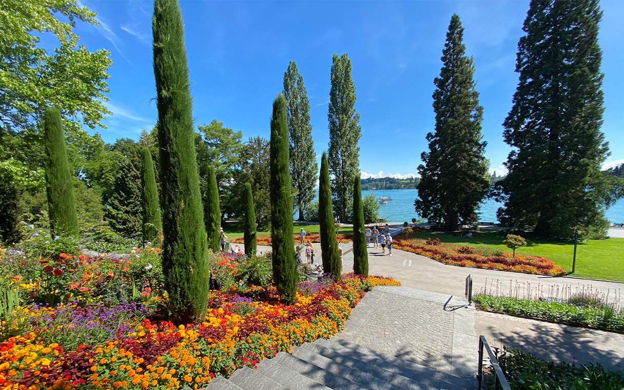 Mainau Flower Island Italian Floral Water Cascade landscape with vibrant flowers and lake view.