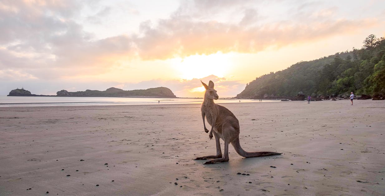 Kangaroo Island Tours