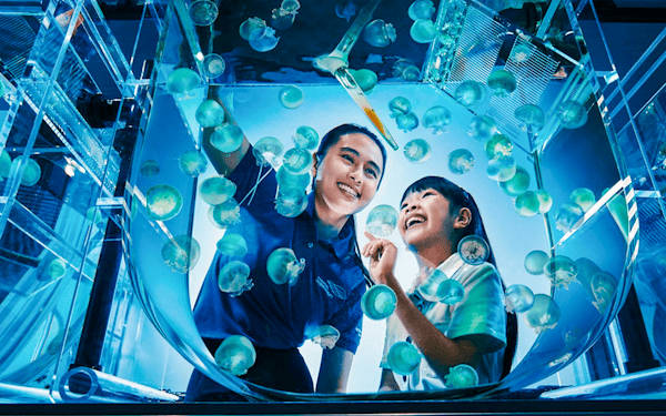 Singapore Oceanarium Tickets with Animal Spotlight & Ocean in Focus