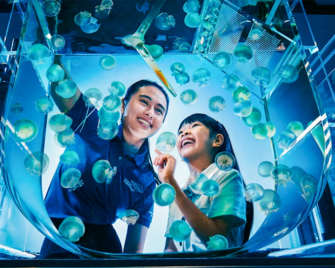 Singapore Oceanarium Tickets with Animal Spotlight & Ocean in Focus