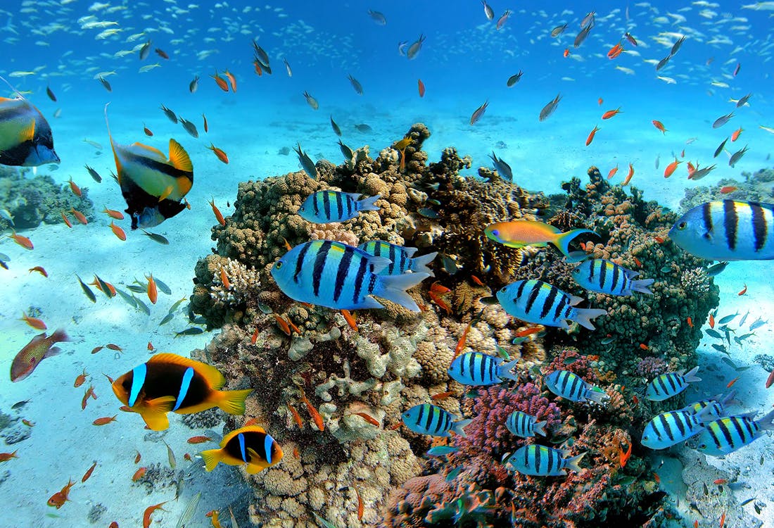 Barcelona Aquarium