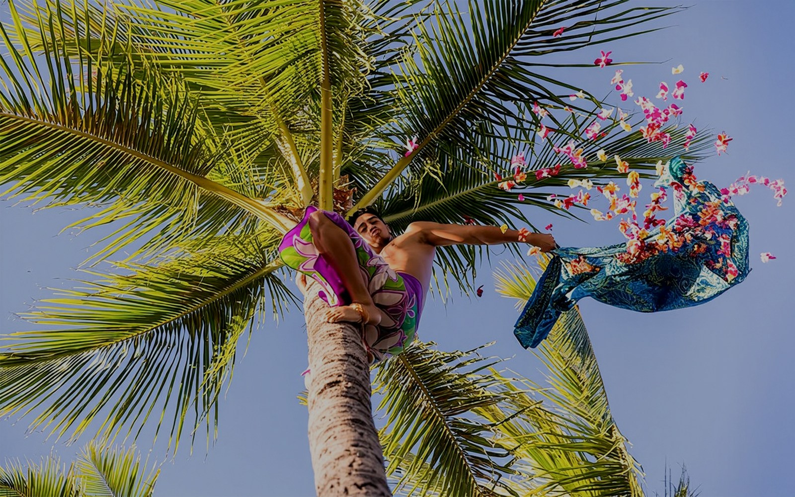 Man throwing flowers from a palm tree at Paradise Cove Luau, Hawaii.