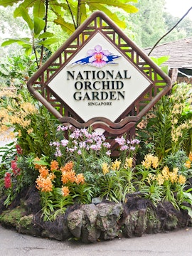 National Orchid Garden sign surrounded by colorful orchids in Singapore.