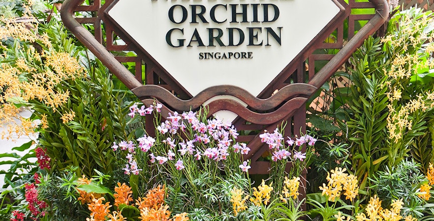 Nationale Orchideeëntuin Tickets