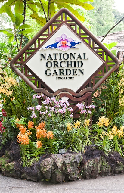 National Orchid Garden sign surrounded by colorful orchids in Singapore.