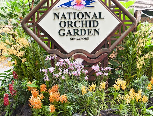 National Orchid Garden sign surrounded by colorful orchids in Singapore.