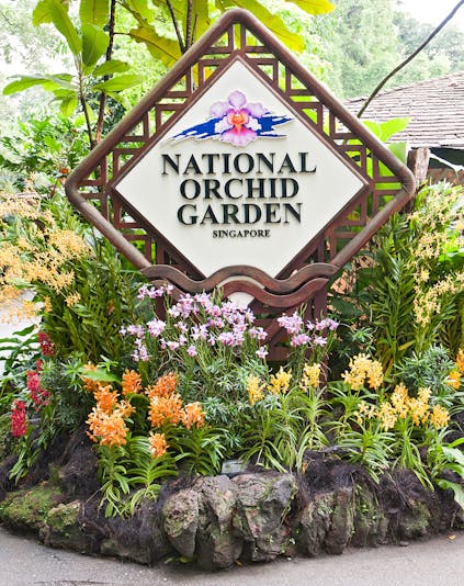 National Orchid Garden in Singapore showcasing vibrant orchid displays.