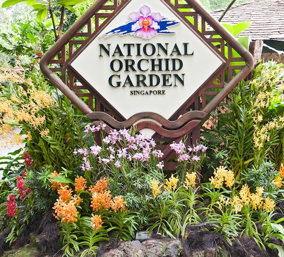 National Orchid Garden sign surrounded by colorful orchids in Singapore.