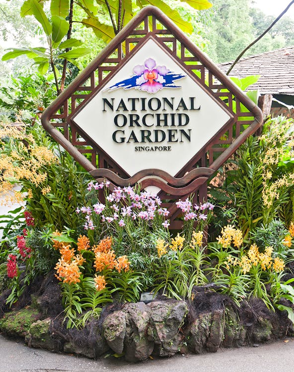 National Orchid Garden sign surrounded by colorful orchids in Singapore.