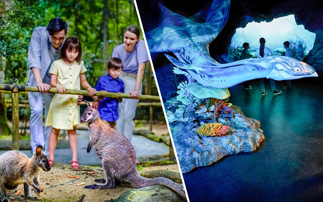 Family observing kangaroos at a zoo and people exploring an aquarium exhibit.