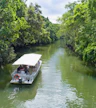 Daintree River