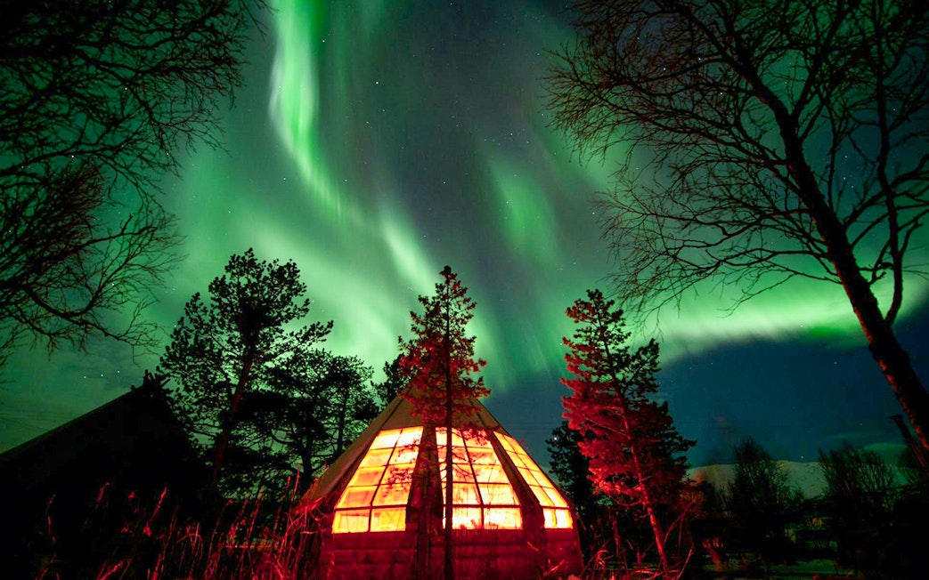 Northern Lights over a glowing cabin in Tromso forest.