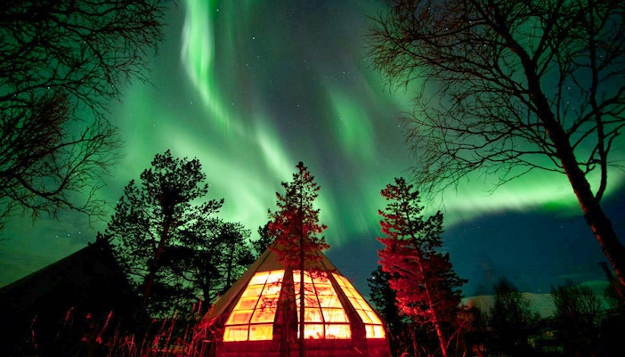 Northern Lights over a glowing cabin in Tromso forest.