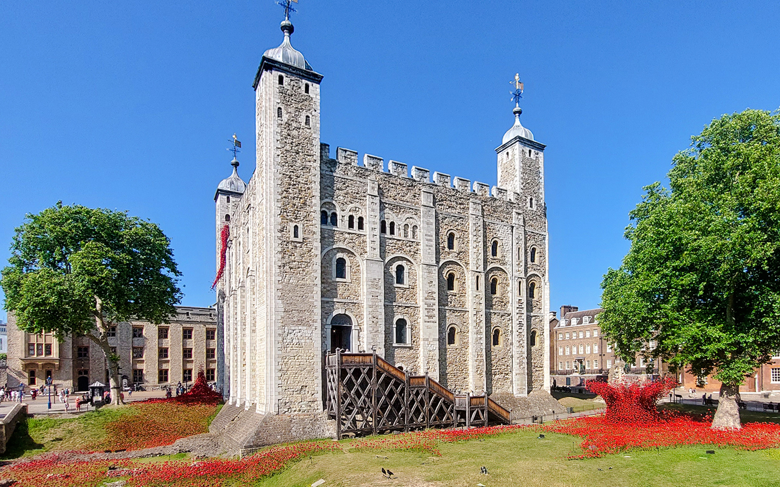 Tower of London with poppy installation and surrounding greenery.