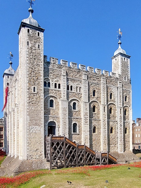 Tower of London with poppy installation and surrounding greenery.