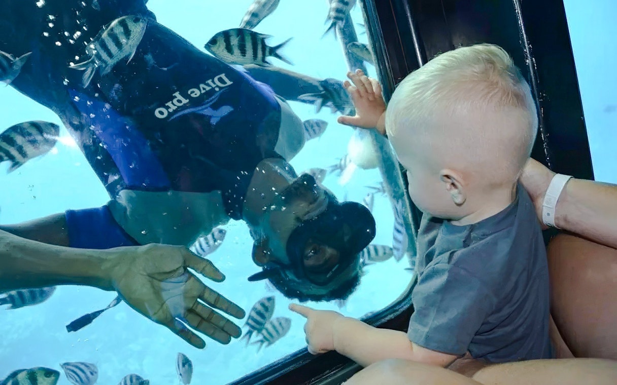 Baby watching diver and fish through semi-submarine window, Royal Seascope, Red Sea, Hurghada.