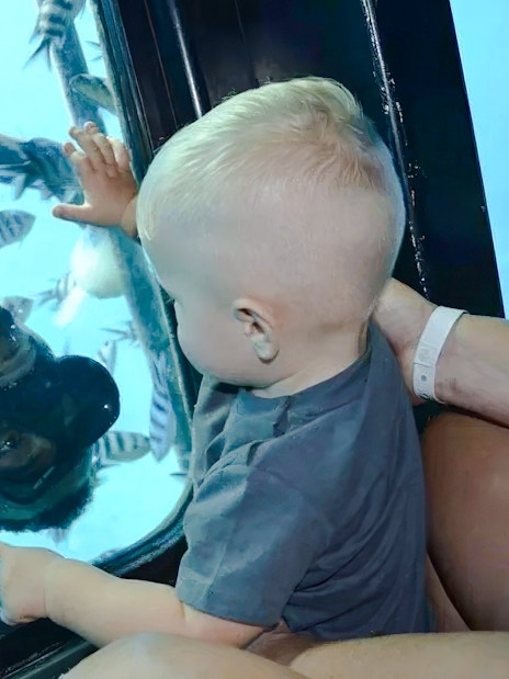 Baby watching diver and fish through semi-submarine window, Royal Seascope, Red Sea, Hurghada.