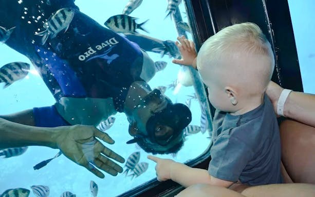 Baby watching diver and fish through semi-submarine window, Royal Seascope, Red Sea, Hurghada.