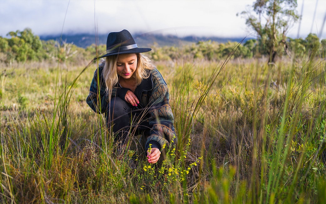 Person exploring native plants in Grampians wilderness on a guided tour from Melbourne.