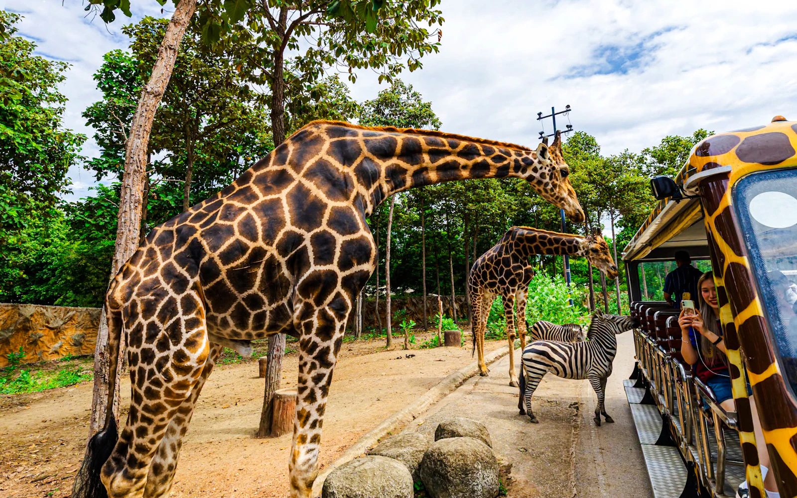 Chiang Mai Night Safari Tickets with Tram Rides Image 5