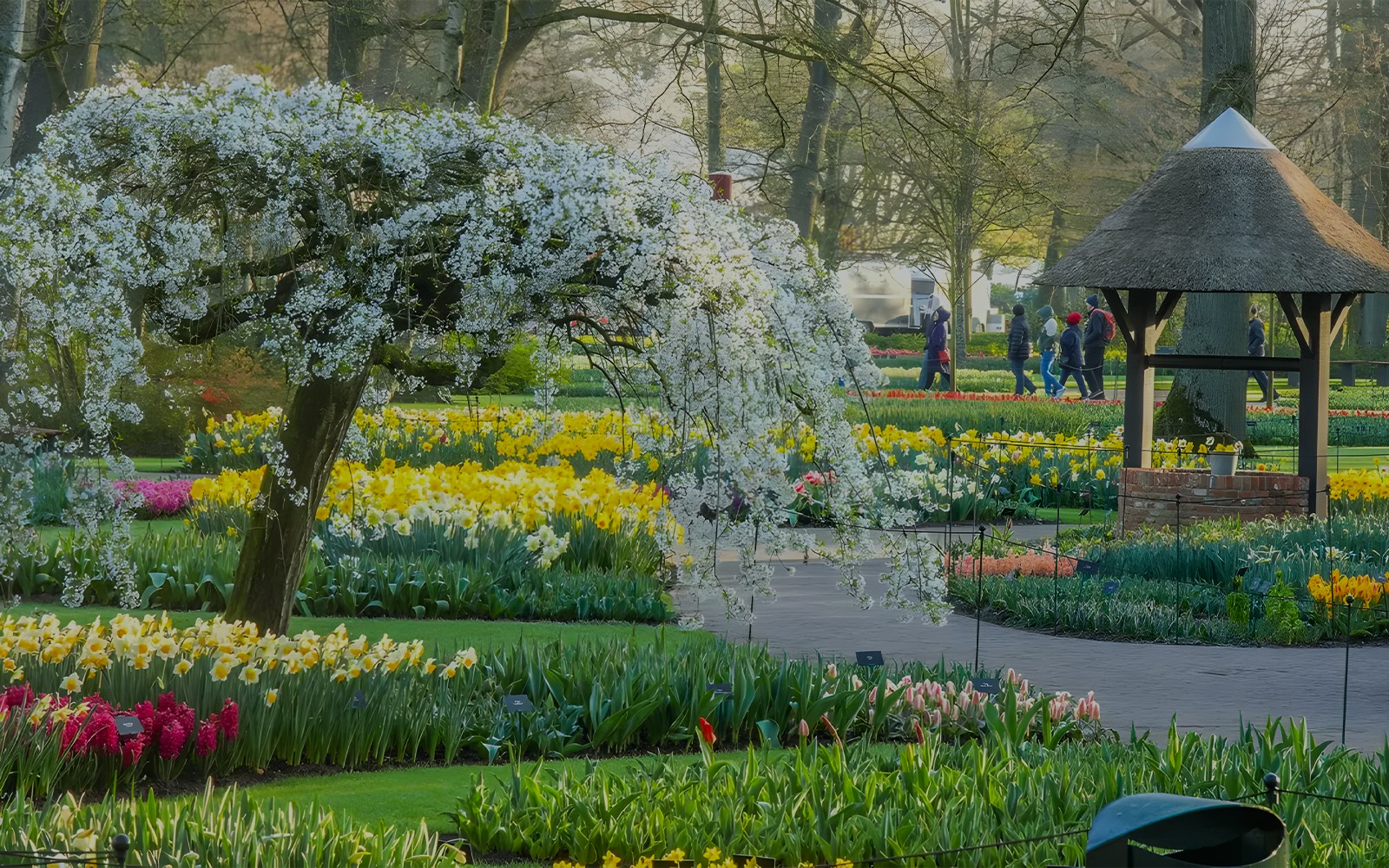 Keukenhof Tulip Fields with blooming flowers and visitors walking on paths in Amsterdam.