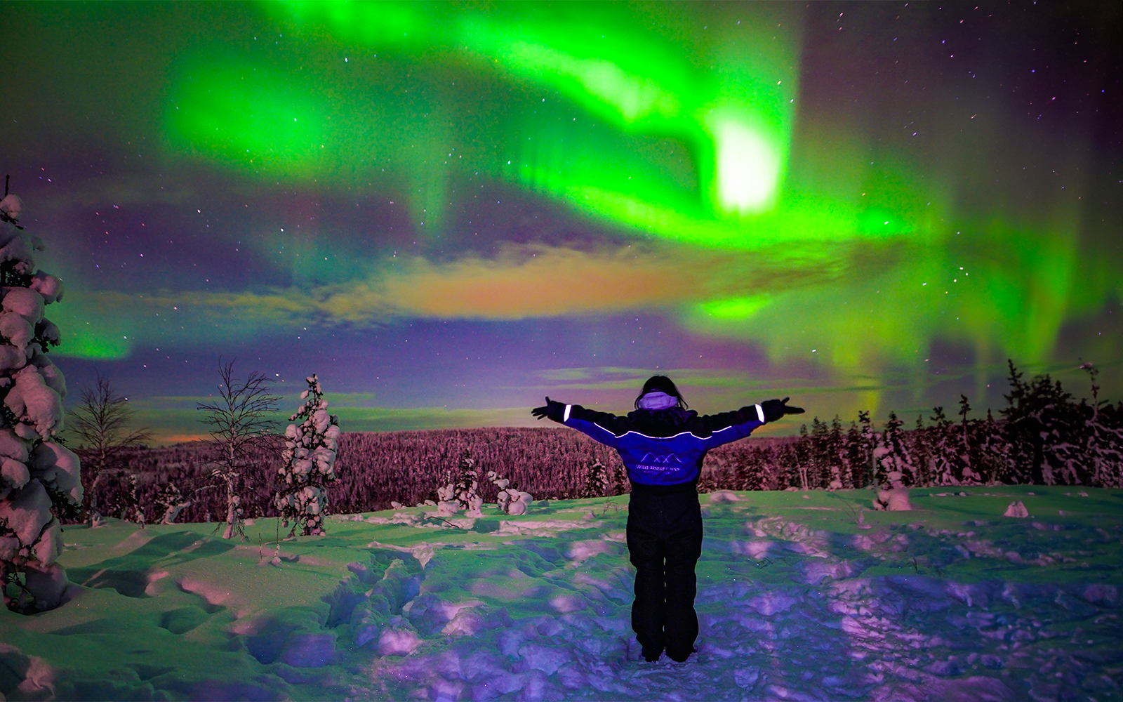 Guests viewing Northern Lights in snowy Rovaniemi landscape.