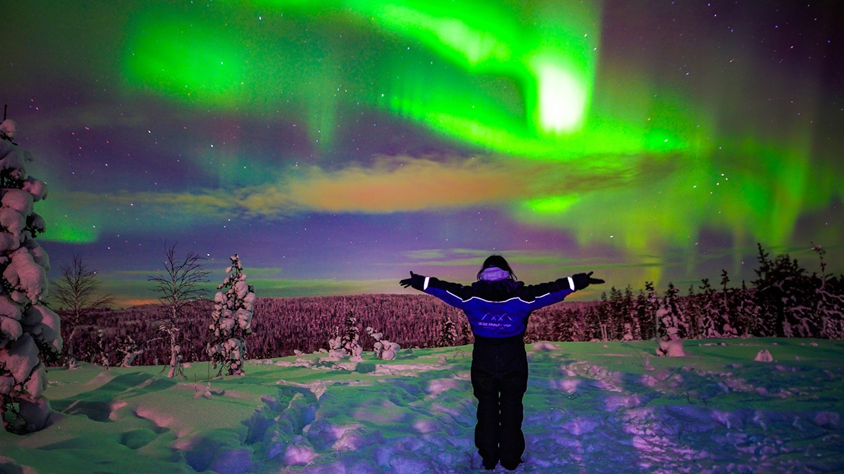 Guests viewing Northern Lights in snowy Rovaniemi landscape.